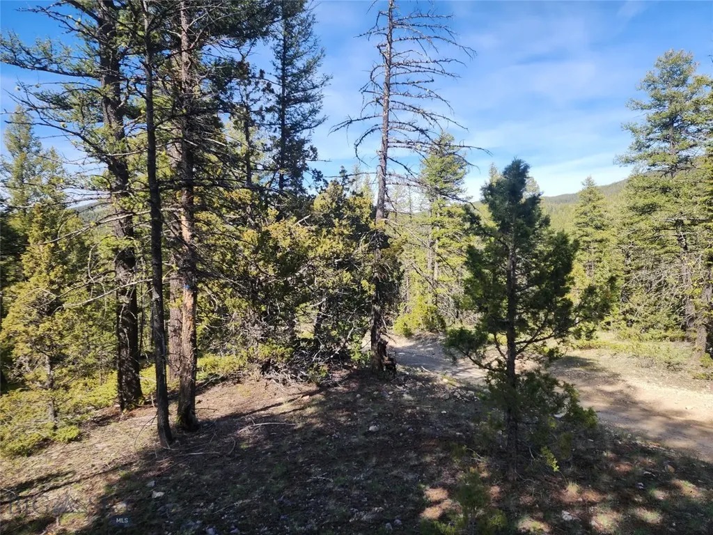 Nhn Boarding House Flats Philipsburg MT 59858