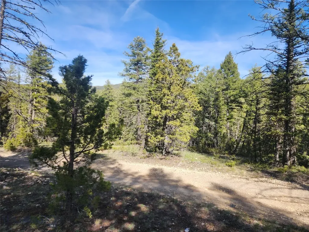Nhn Boarding House Flats Philipsburg MT 59858