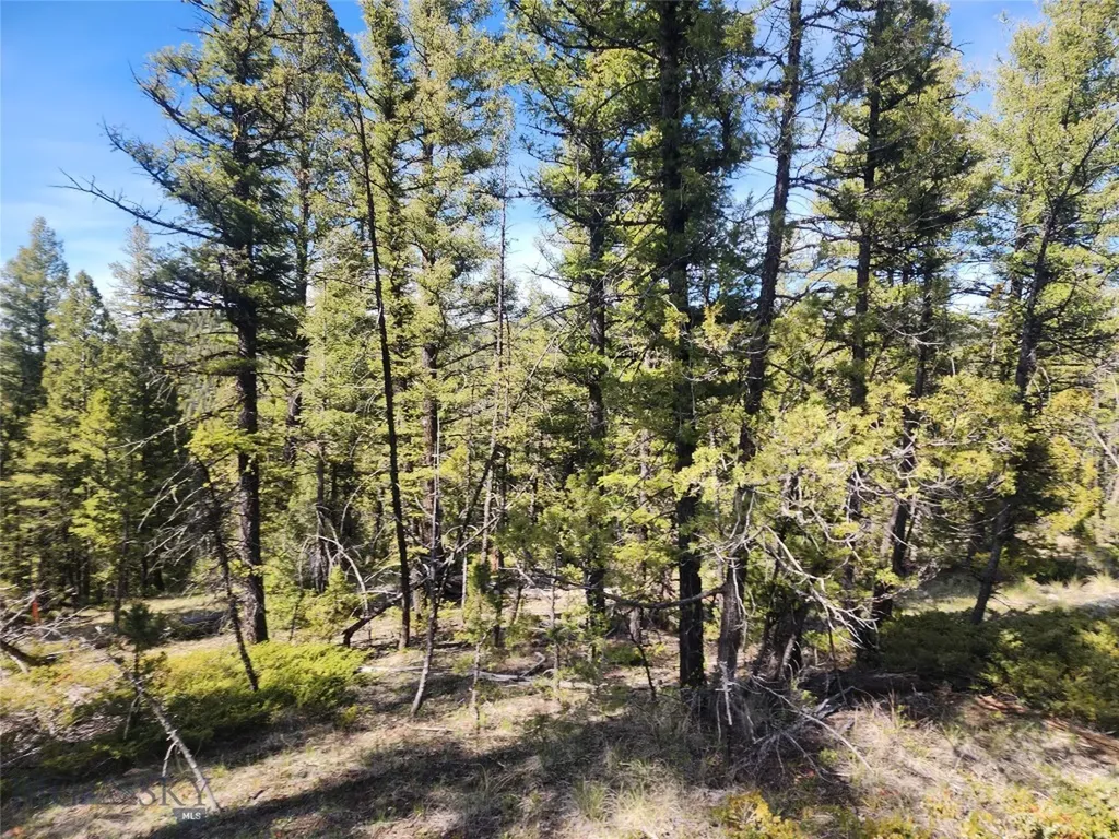 Nhn Boarding House Flats Philipsburg MT 59858
