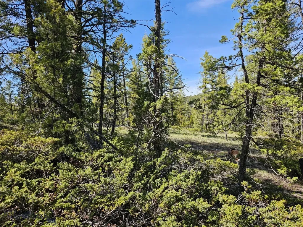 Nhn Boarding House Flats Philipsburg MT 59858