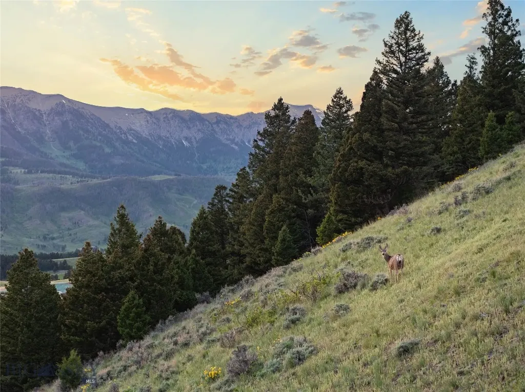 5730 Jackson Creek Road Bozeman MT 59715