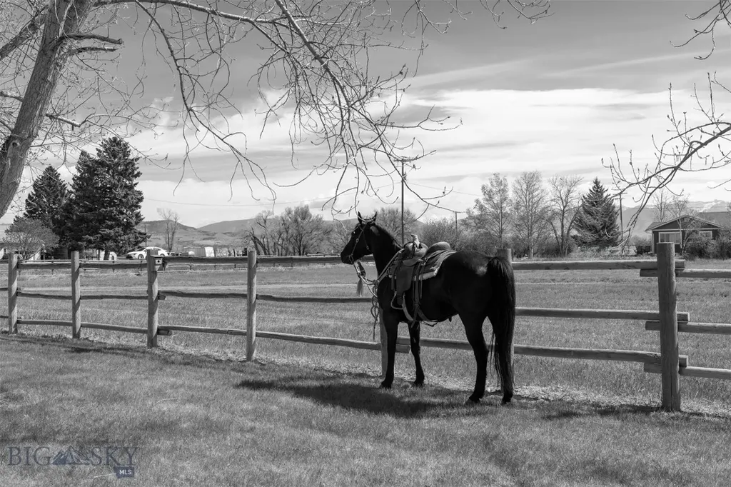 6280 W Dry Creek Road Manhattan MT 59741