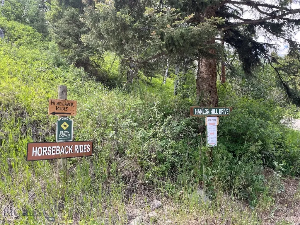 23 Hanlon Hill Drive Gardiner MT 59030