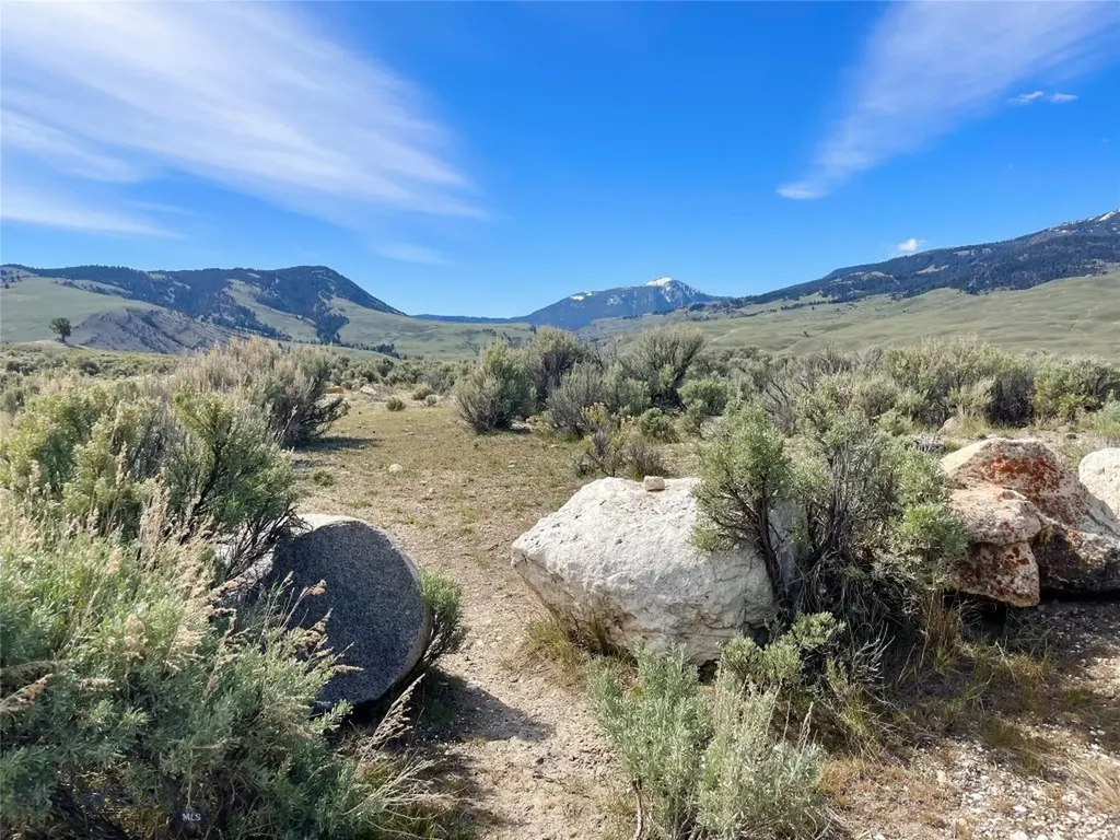 23 Hanlon Hill Drive Gardiner MT 59030
