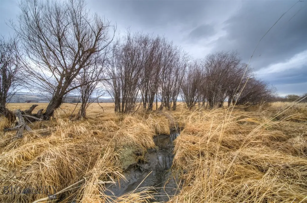 2117 Nixon Gulch Road Manhattan MT 59741