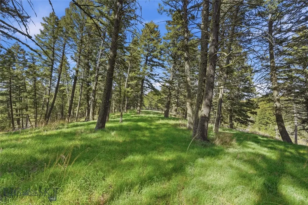 116 Elk Ridge Road Livingston MT 59047