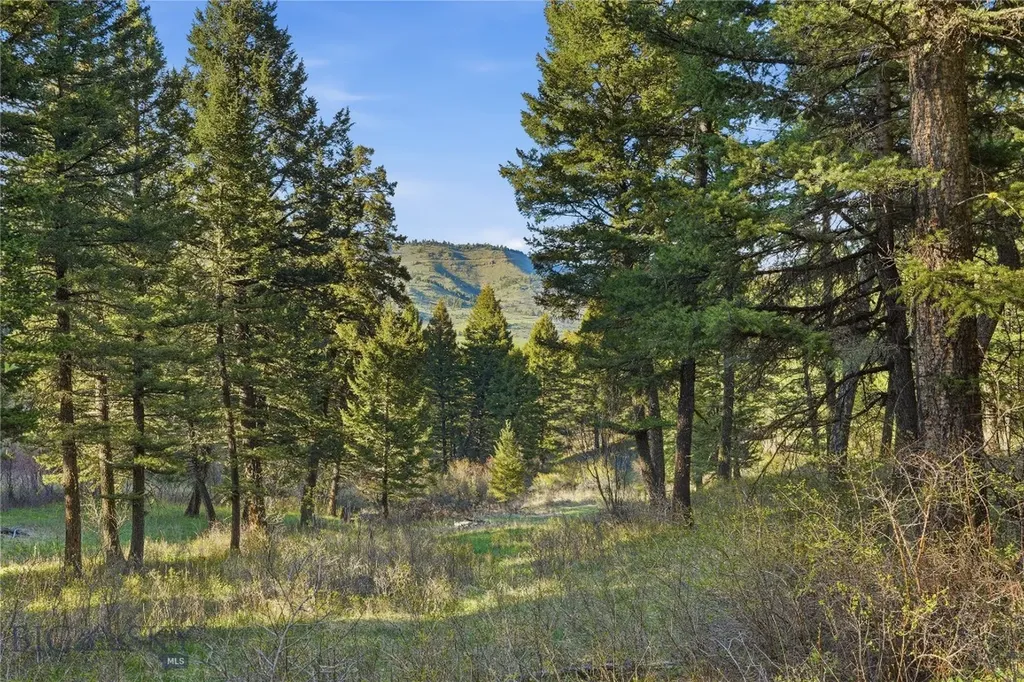 116 Elk Ridge Road Livingston MT 59047