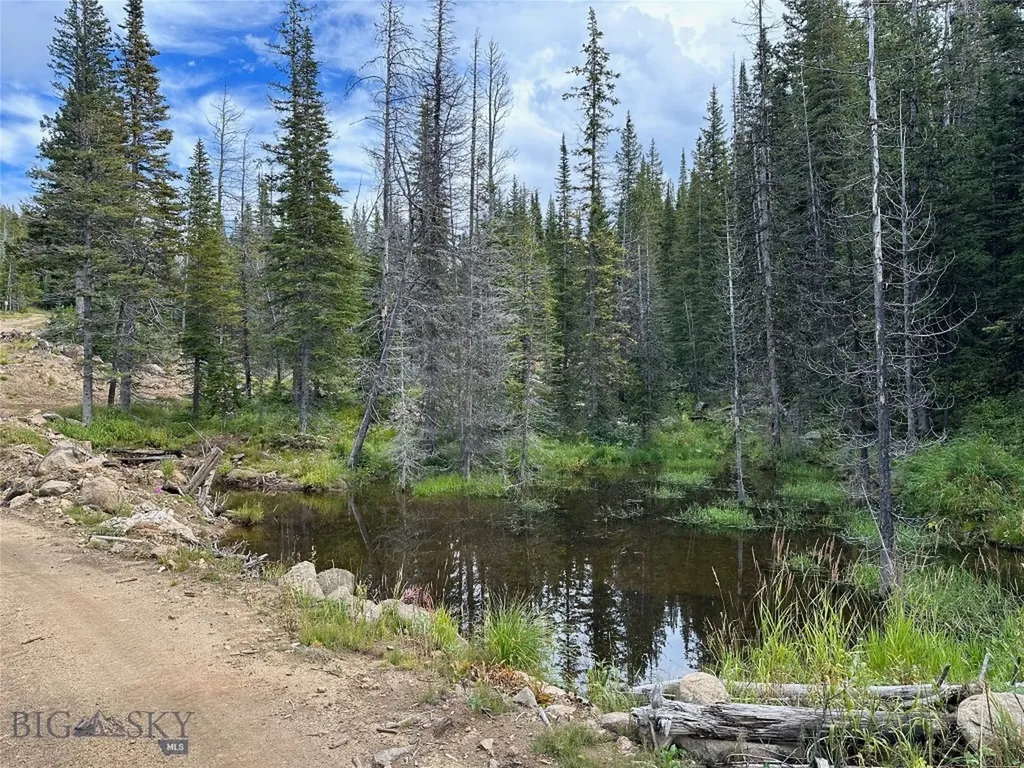4445 Banner Creek Road Helena MT 59601