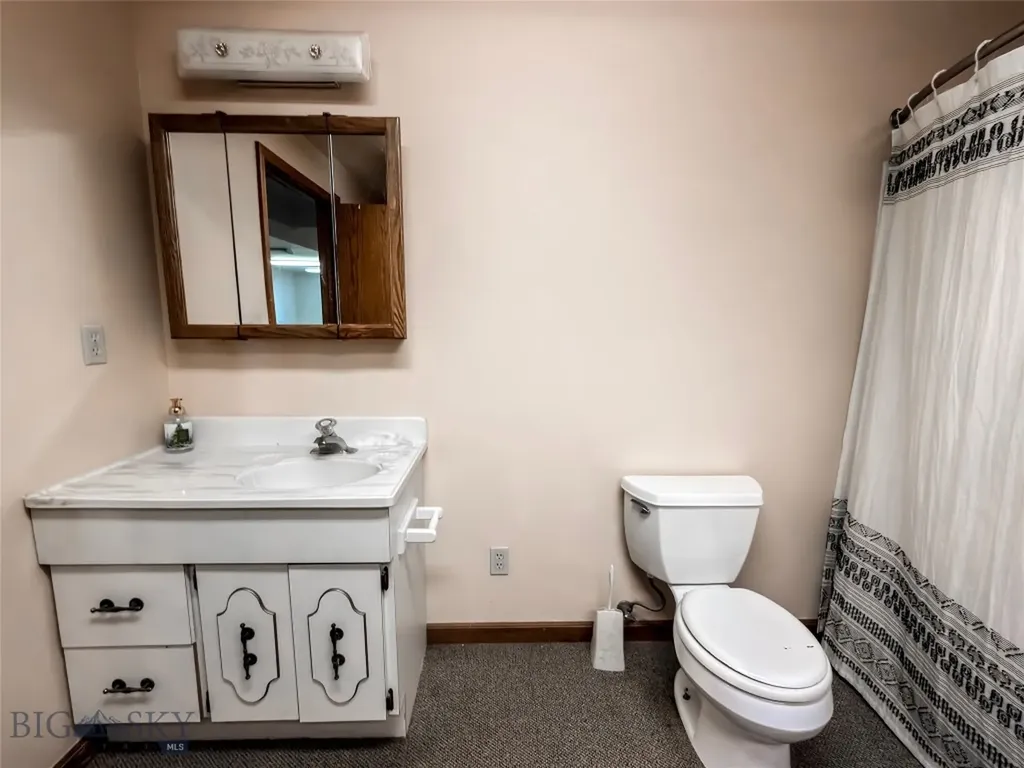 1910 No Creek Court Helena MT 59602