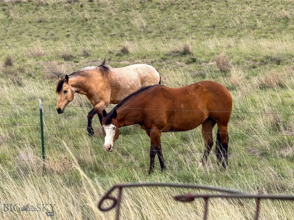 1910 No Creek Court Helena MT 59602