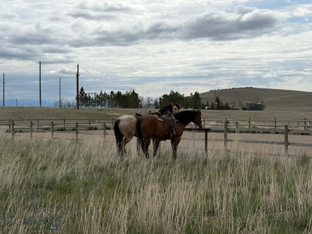 1910 No Creek Court Helena MT 59602