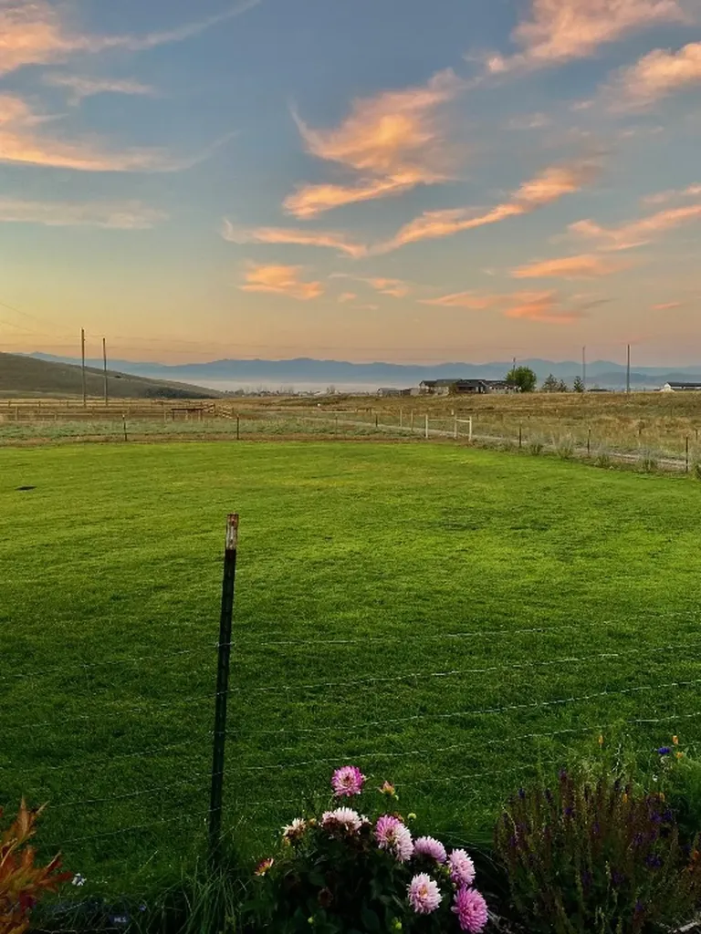 1910 No Creek Court Helena MT 59602