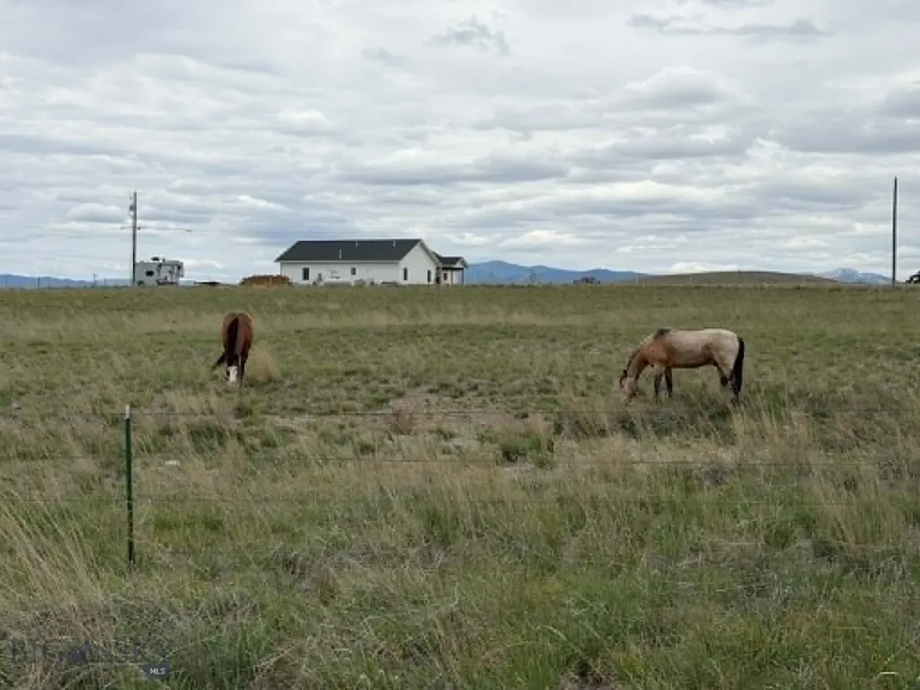 1910 No Creek Court Helena MT 59602