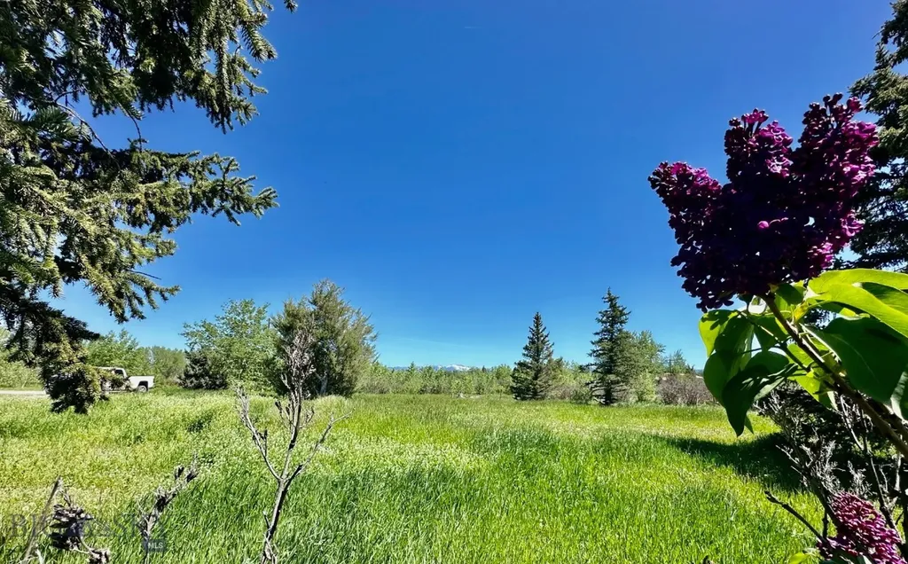 118 Dovetail Lane Bozeman MT 59718