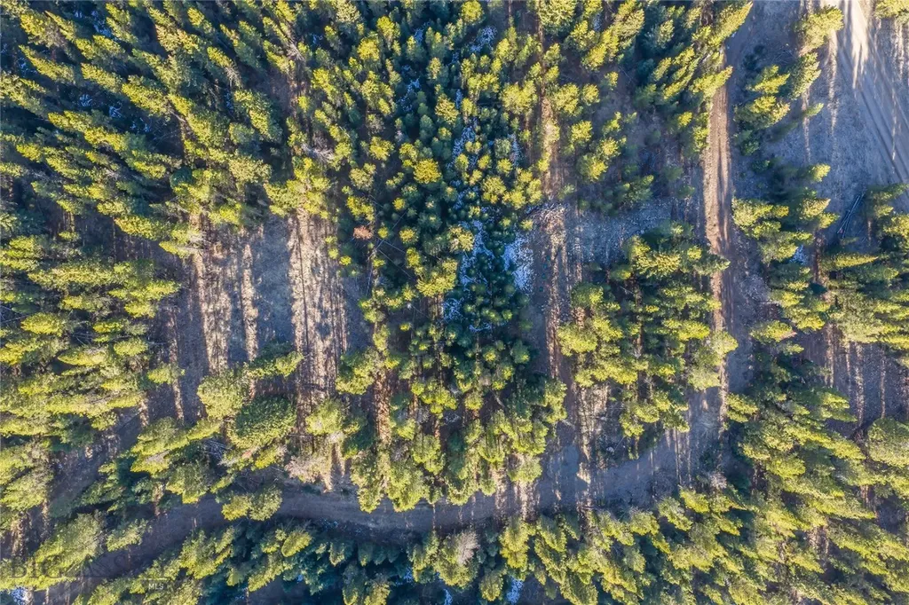 1670 Michener Creek Big Sky MT 59716
