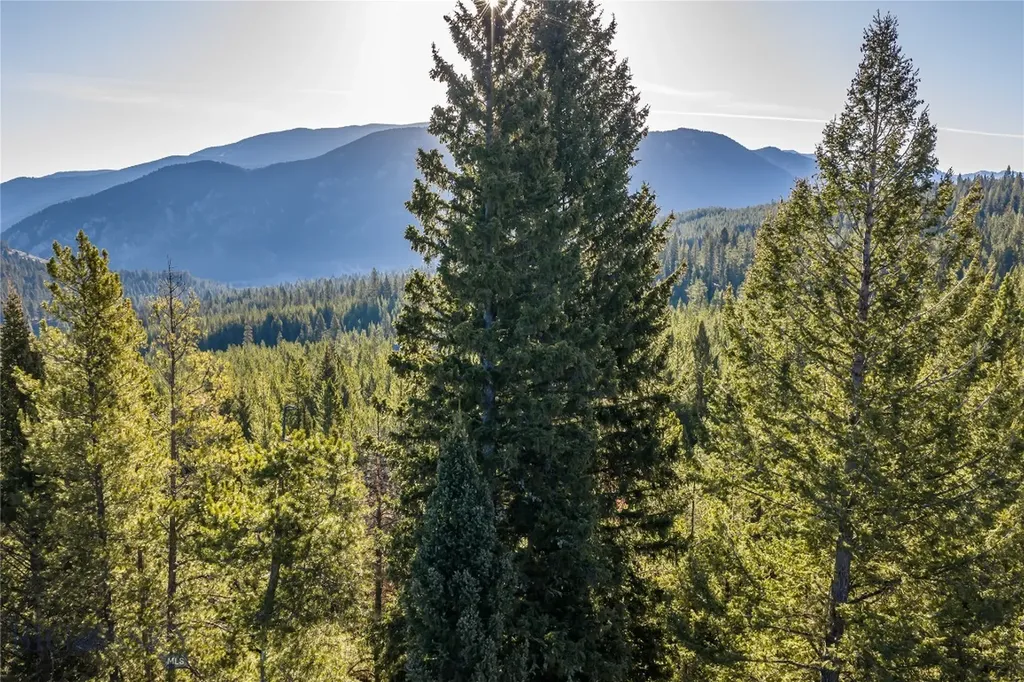 1670 Michener Creek Big Sky MT 59716