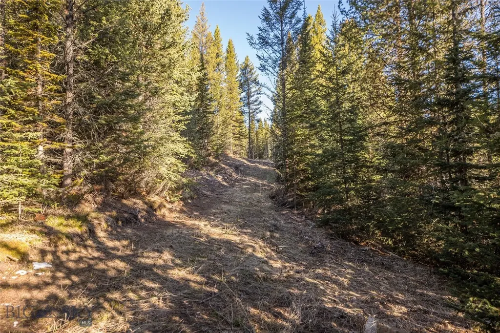 1670 Michener Creek Big Sky MT 59716