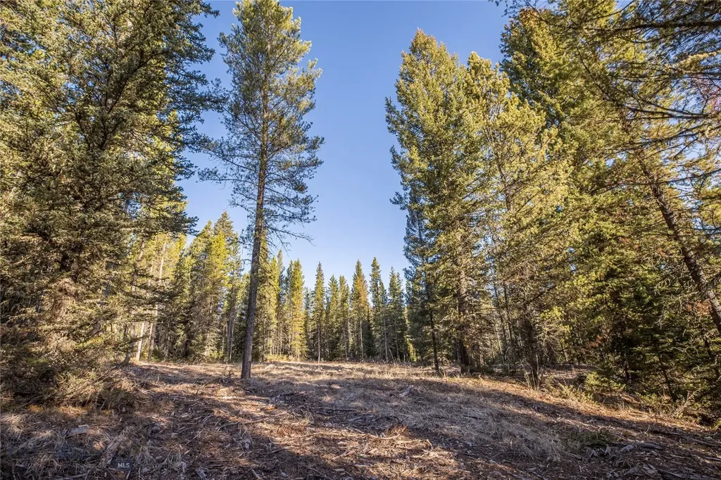 1670 Michener Creek Big Sky MT 59716