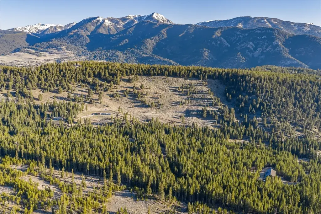 1670 Michener Creek Big Sky MT 59716