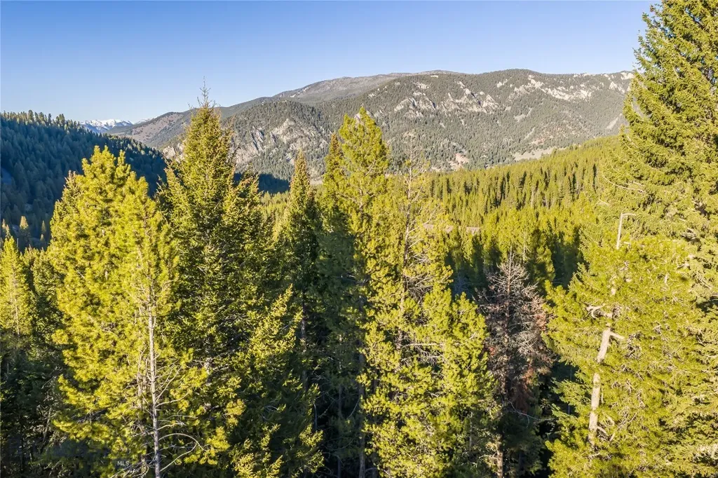 1670 Michener Creek Big Sky MT 59716
