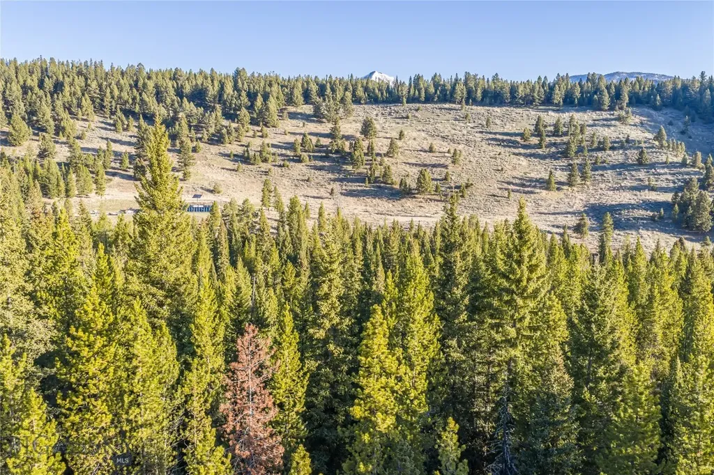 1670 Michener Creek Big Sky MT 59716