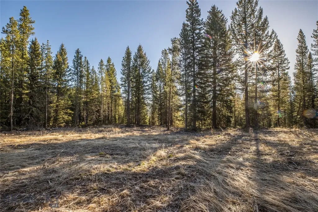1670 Michener Creek Big Sky MT 59716