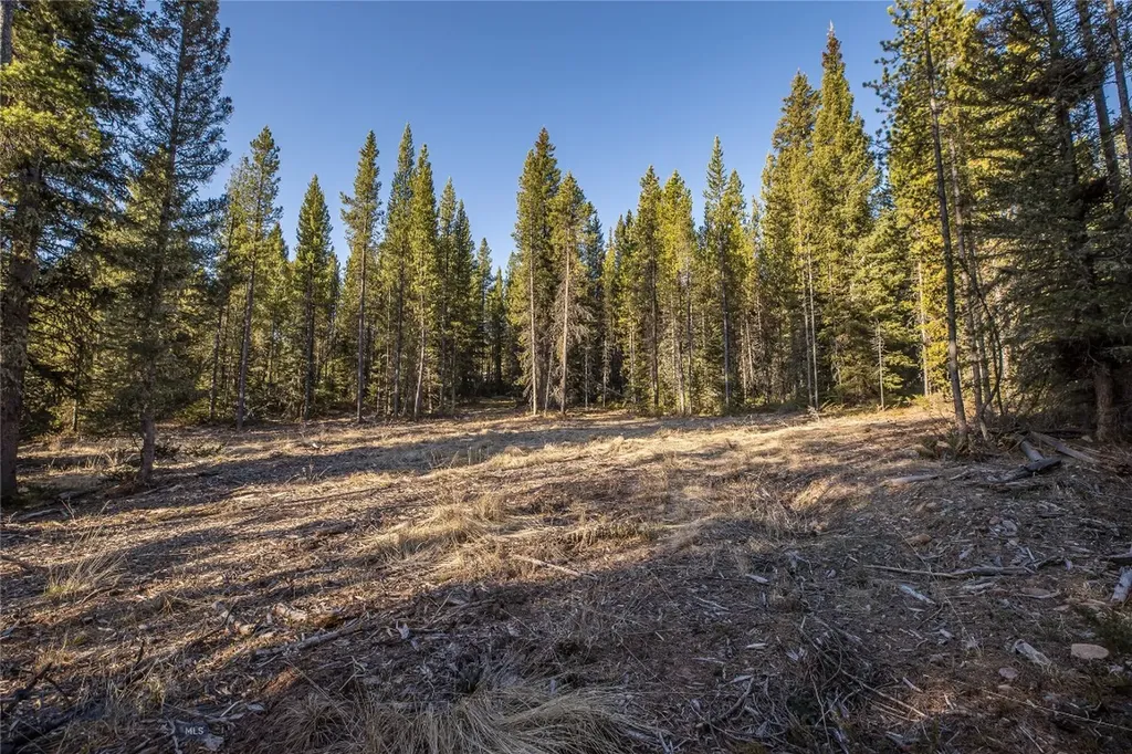 1670 Michener Creek Big Sky MT 59716