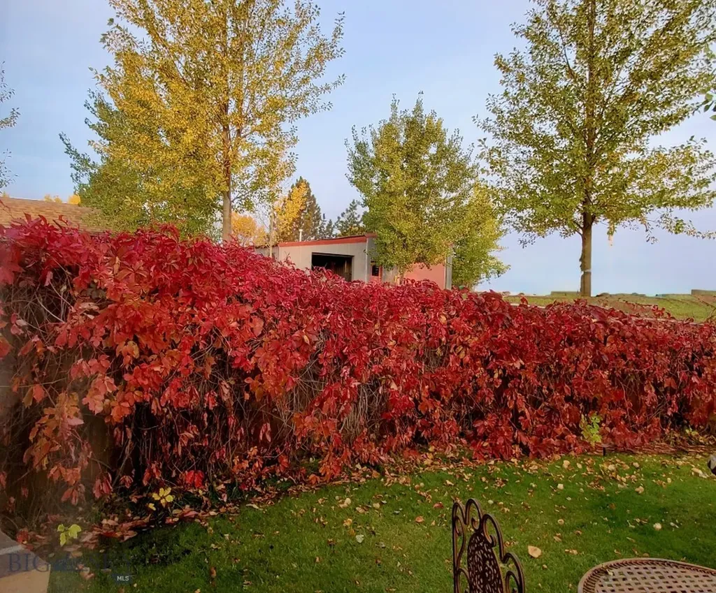 42 River Ridge Lane Shelby MT 59474