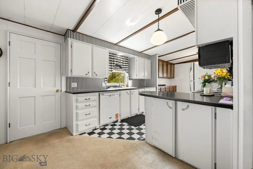 170 Pioneer Drive Dillon MT 59725