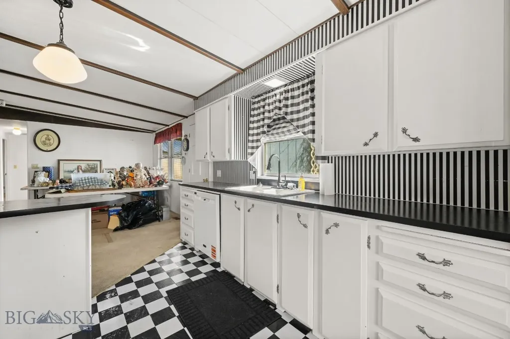 170 Pioneer Drive Dillon MT 59725