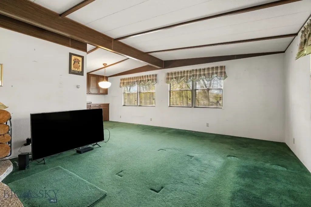 170 Pioneer Drive Dillon MT 59725