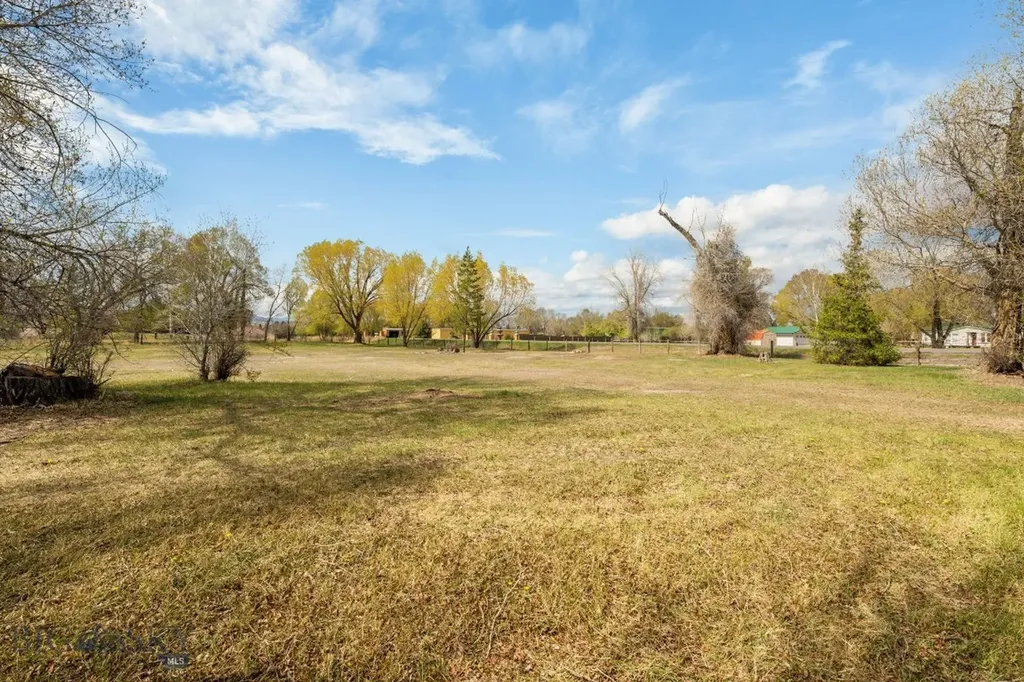 170 Pioneer Drive Dillon MT 59725