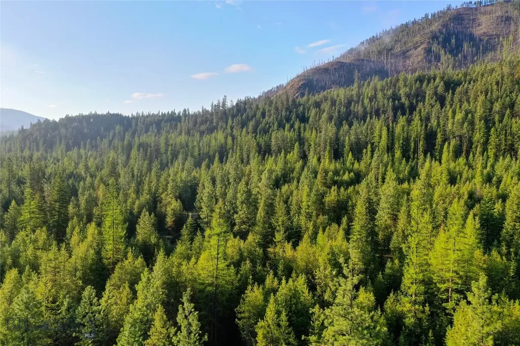 Tbd Cougar Creek Way Superior MT 59872