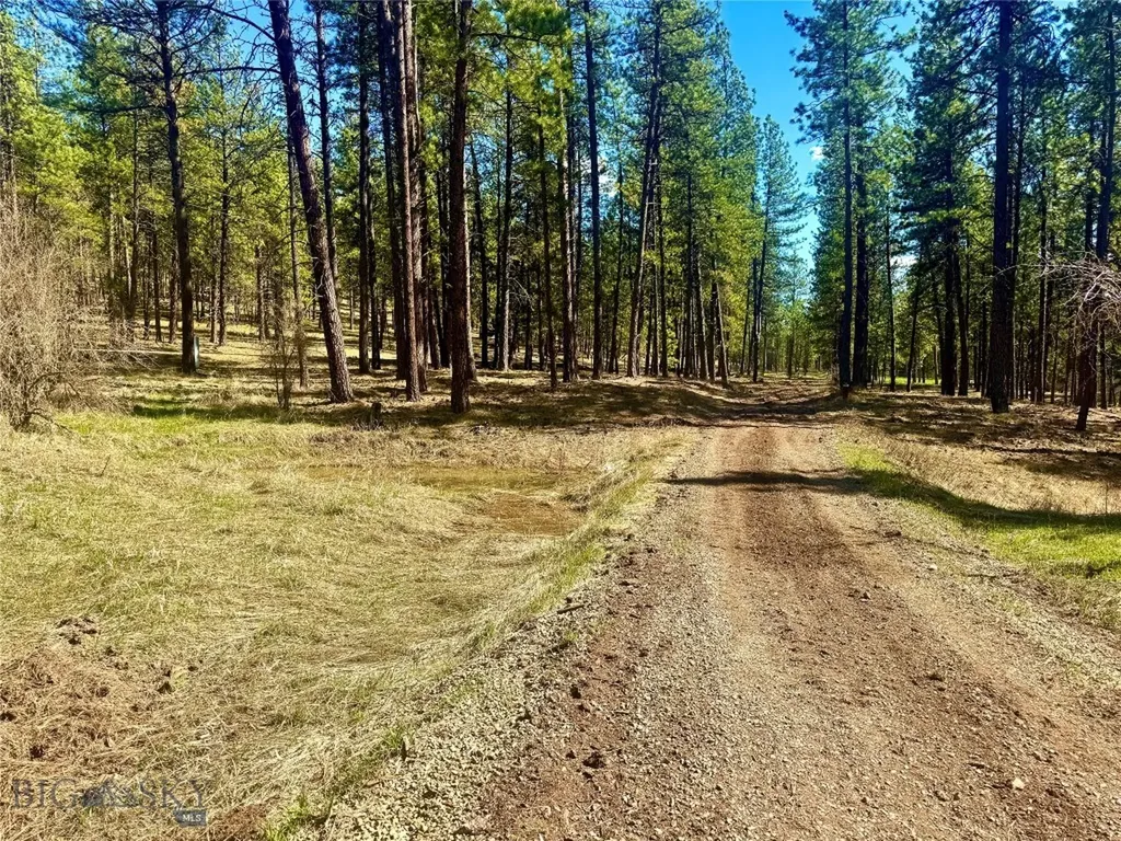 Tbd Nine Mile Road Huson MT 59846