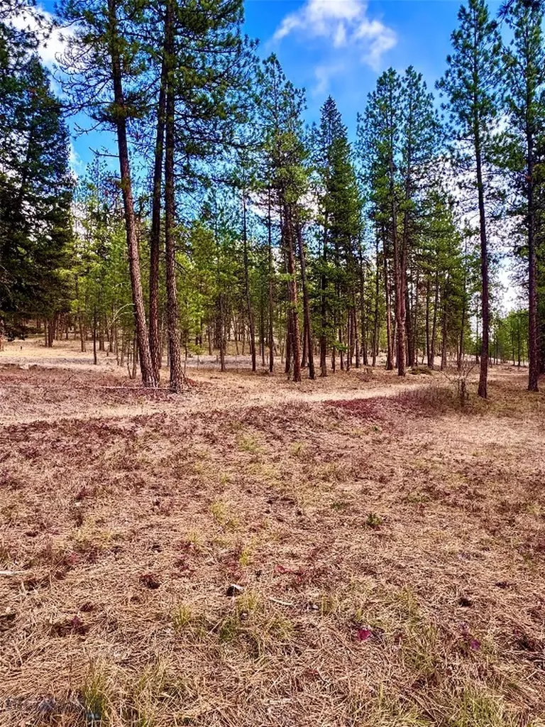 Tbd Nine Mile Road Huson MT 59846