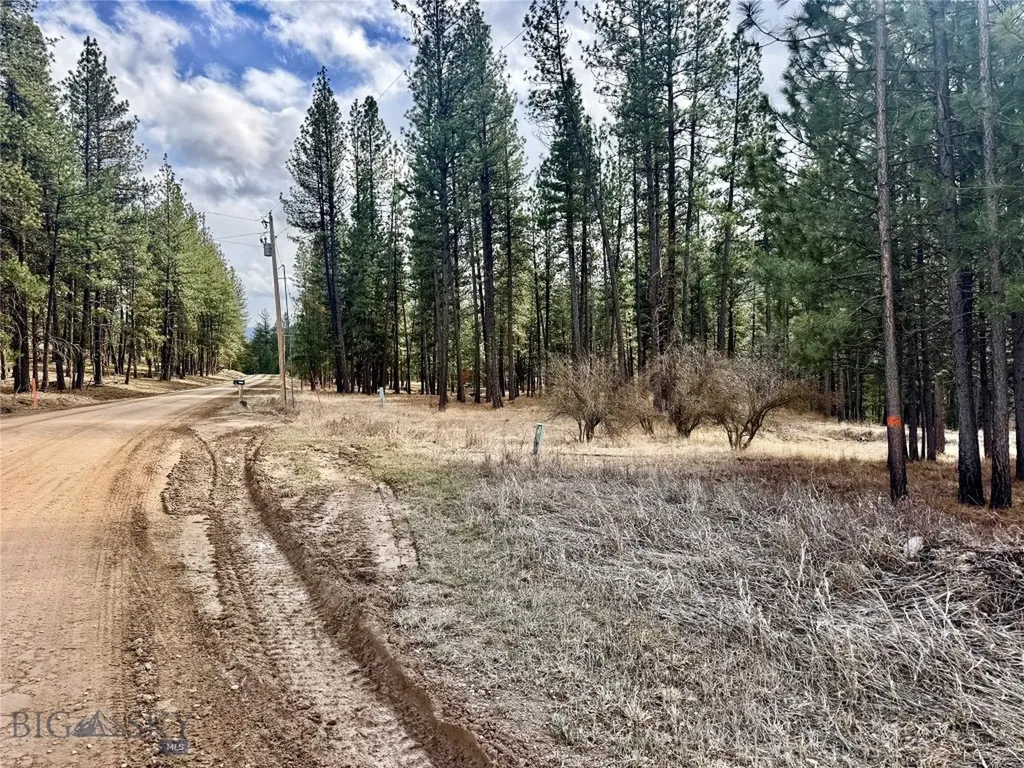 Tbd Nine Mile Road Huson MT 59846