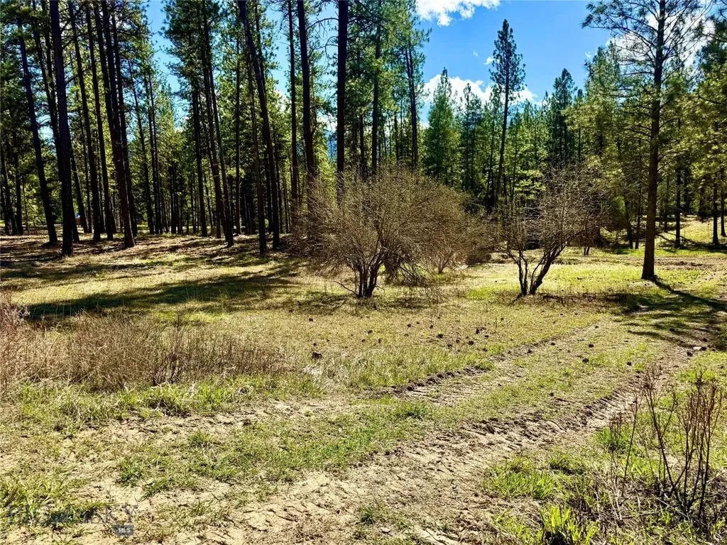 Tbd Nine Mile Road Huson MT 59846
