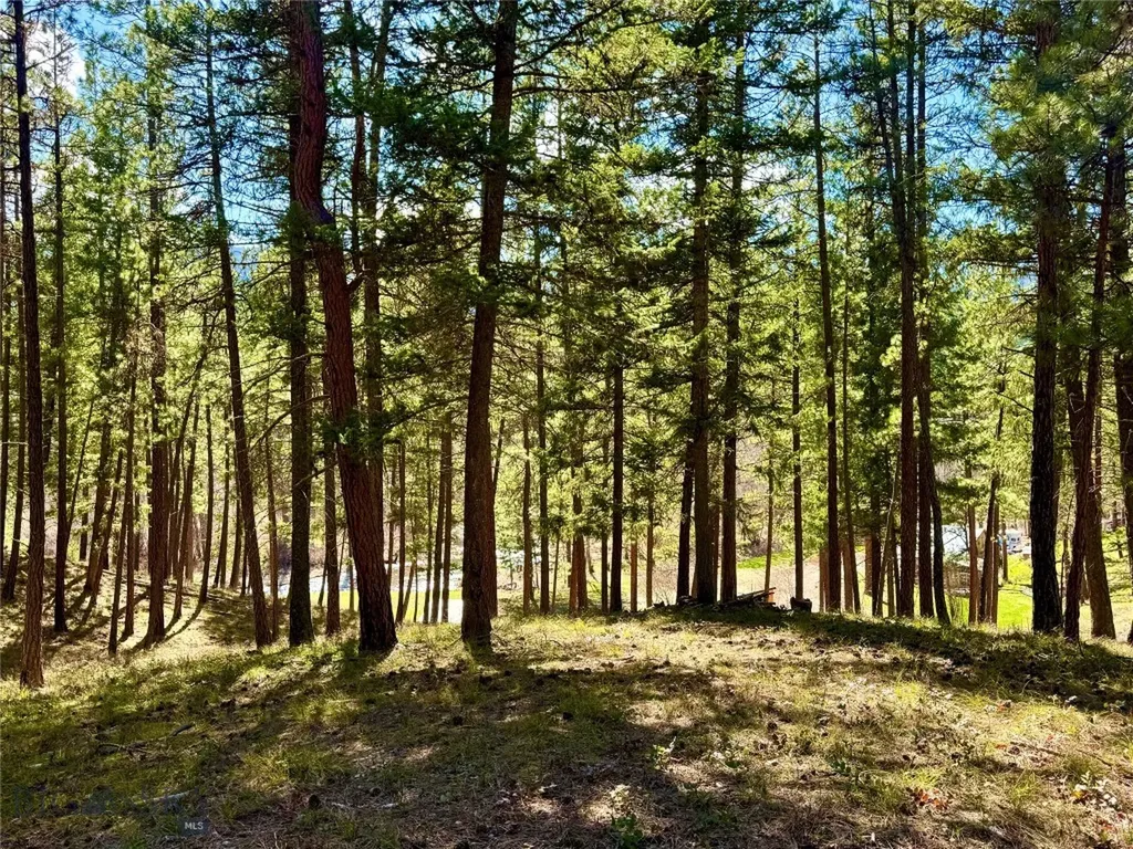 Tbd Nine Mile Road Huson MT 59846