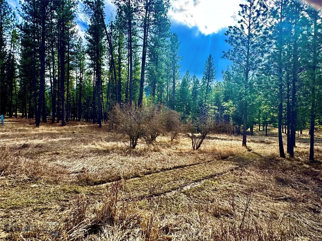 Tbd Nine Mile Road Huson MT 59846