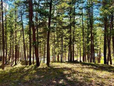 TBD Nine Mile Road Huson MT 59846