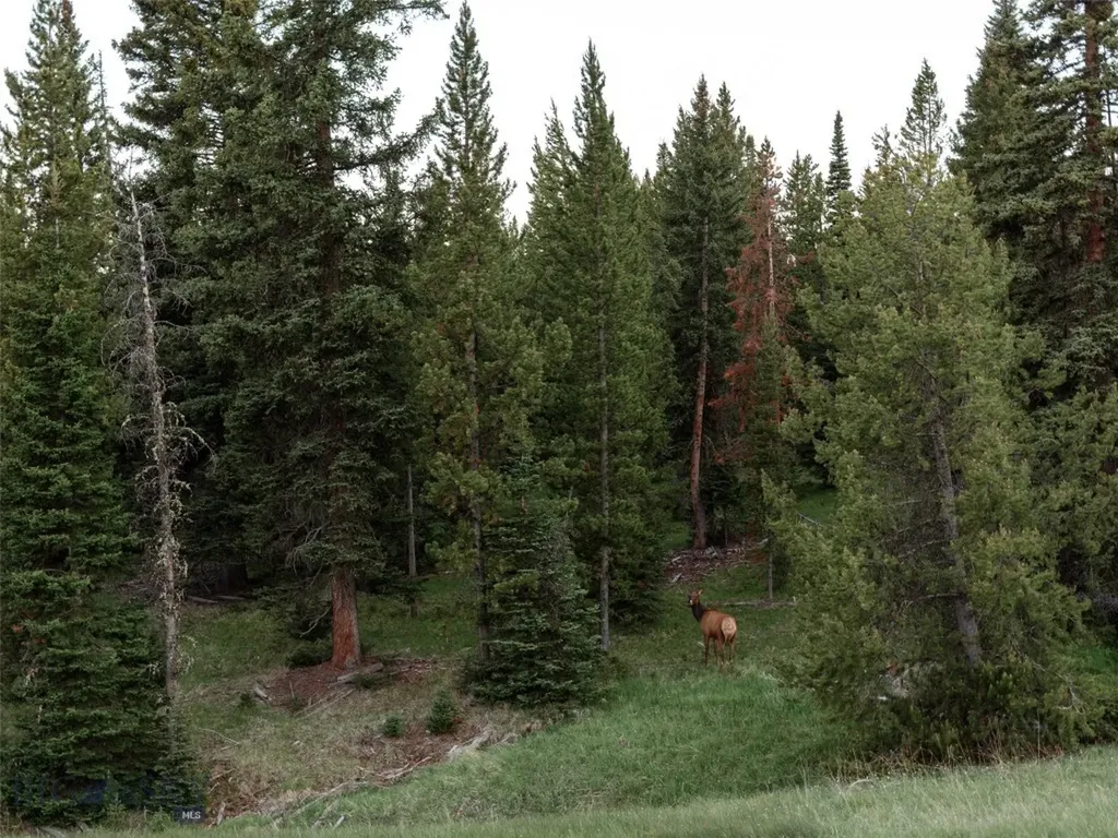 Tbd Eagle View Trail, Ski Tip Glade Lot 16 Big Sky MT 59716