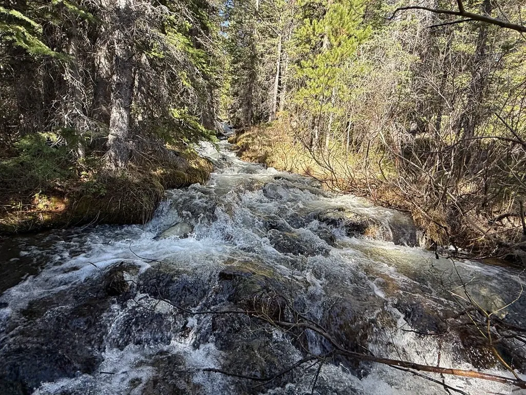 970 Lower Clear Creek Trail Anaconda MT 59711