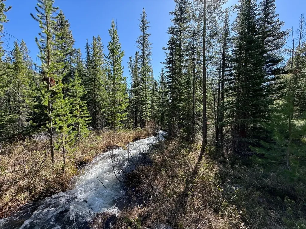 970 Lower Clear Creek Trail Anaconda MT 59711