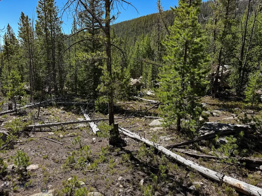 970 Lower Clear Creek Trail Anaconda MT 59711