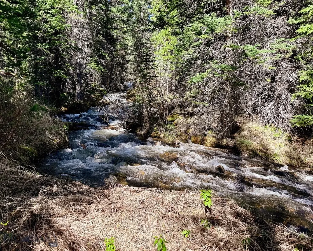 970 Lower Clear Creek Trail Anaconda MT 59711