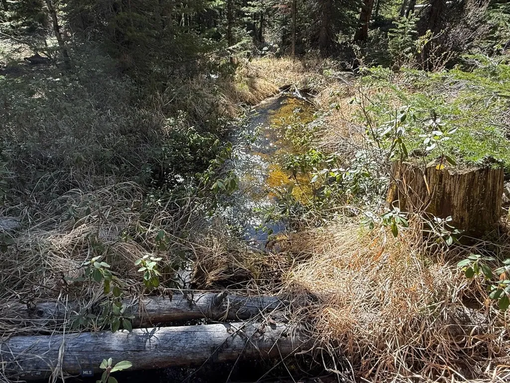 970 Lower Clear Creek Trail Anaconda MT 59711