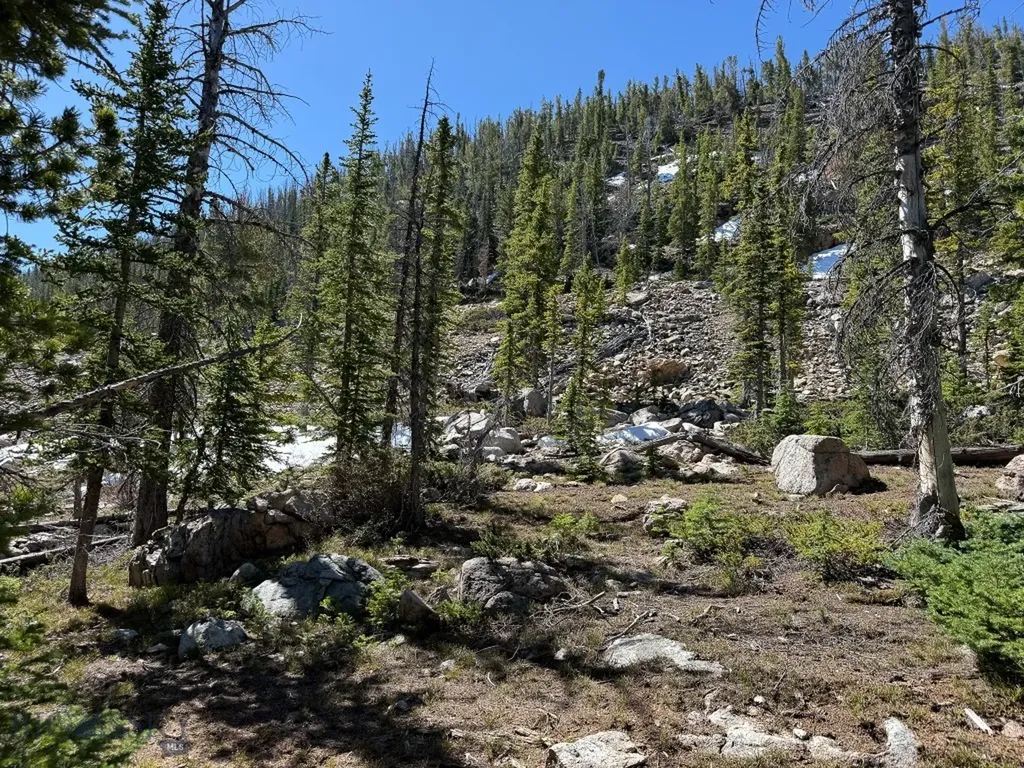 970 Lower Clear Creek Trail Anaconda MT 59711