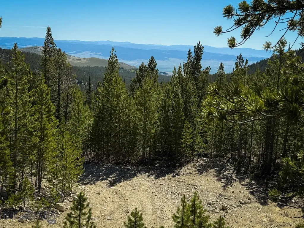 970 Lower Clear Creek Trail Anaconda MT 59711