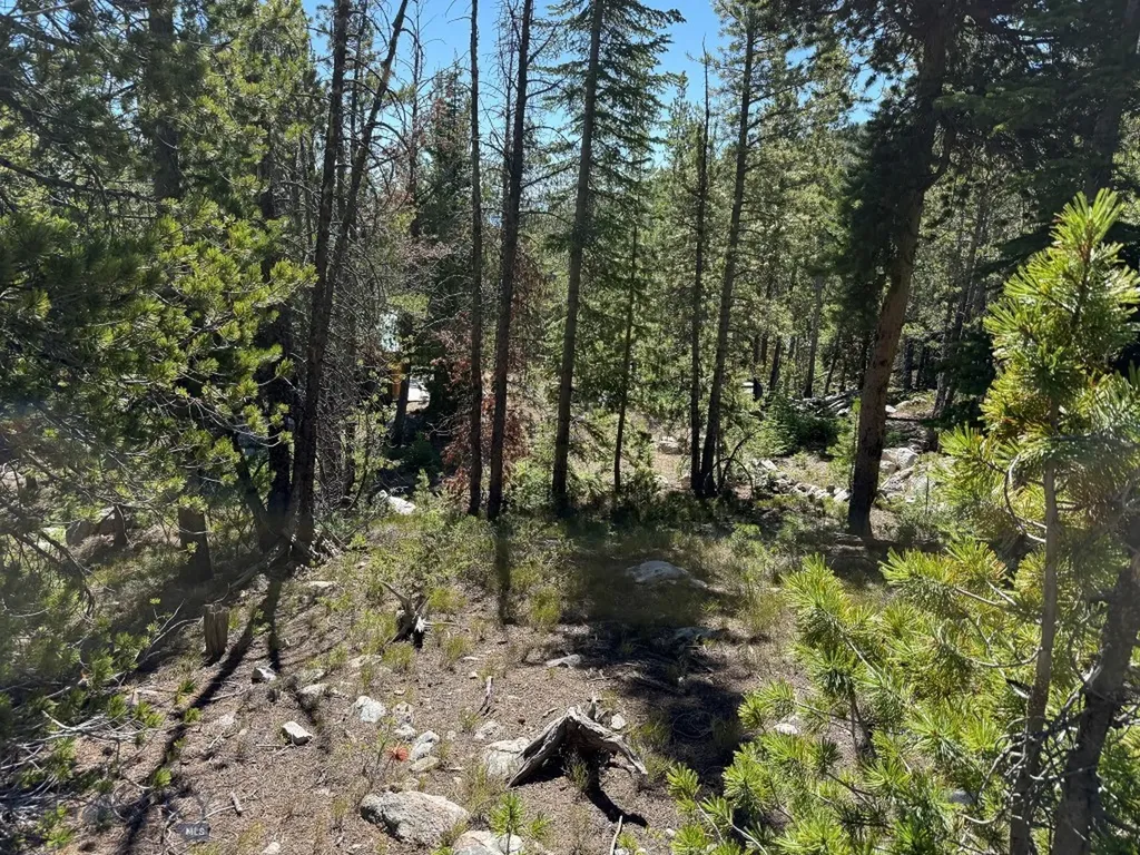 970 Lower Clear Creek Trail Anaconda MT 59711