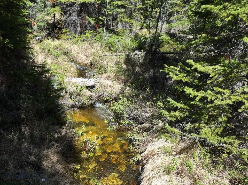970 Lower Clear Creek Trail Anaconda MT 59711